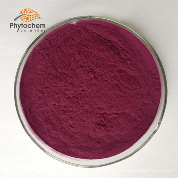 Wholesale High quality Mulberry fruit juice extract powder